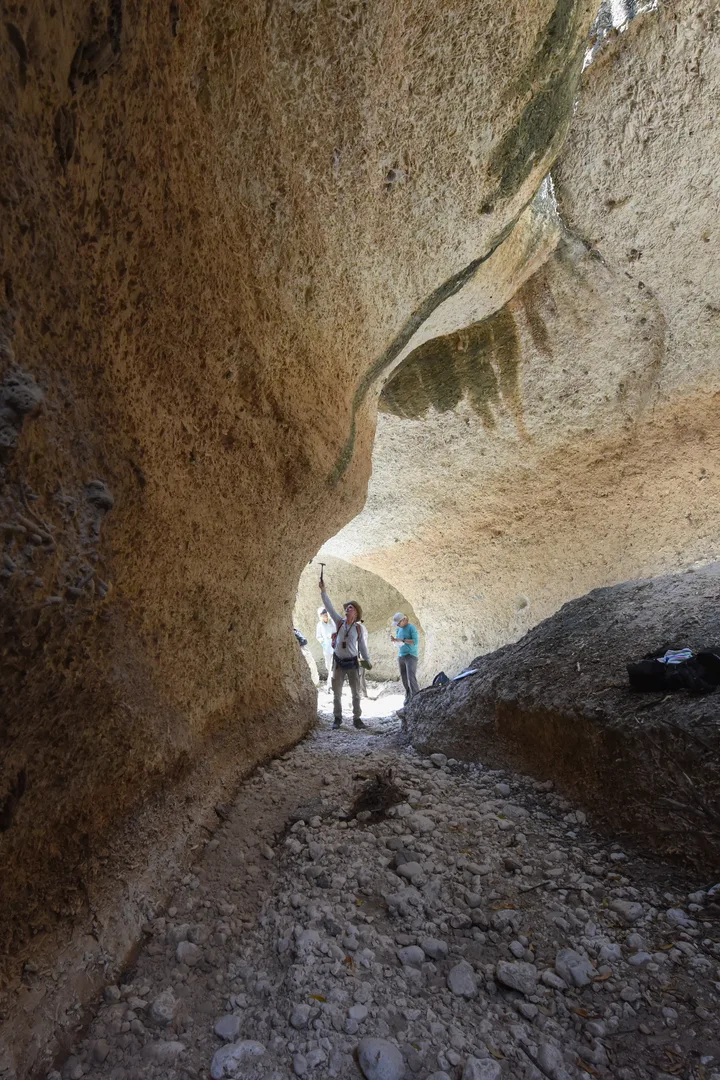 Walking through the fossil reef at Caña Honda