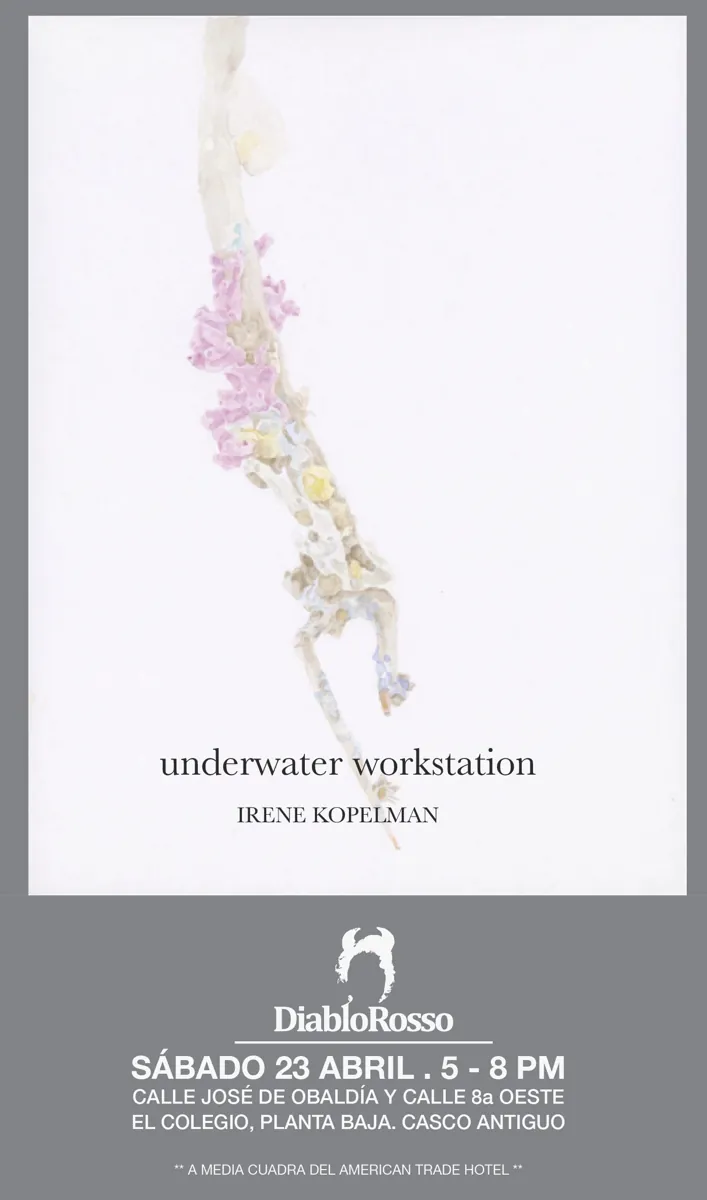 Underwater workstation, Irene Kopelman exhibition poster