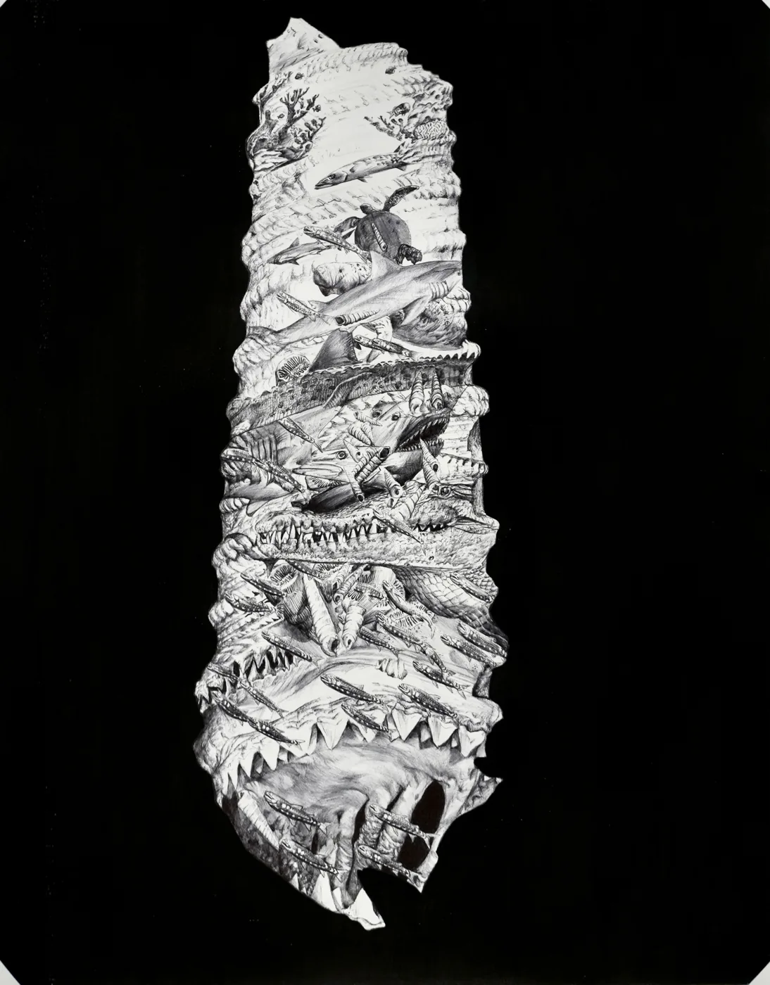 Drawing of a jaw whose teeth and bone are made of reef animals