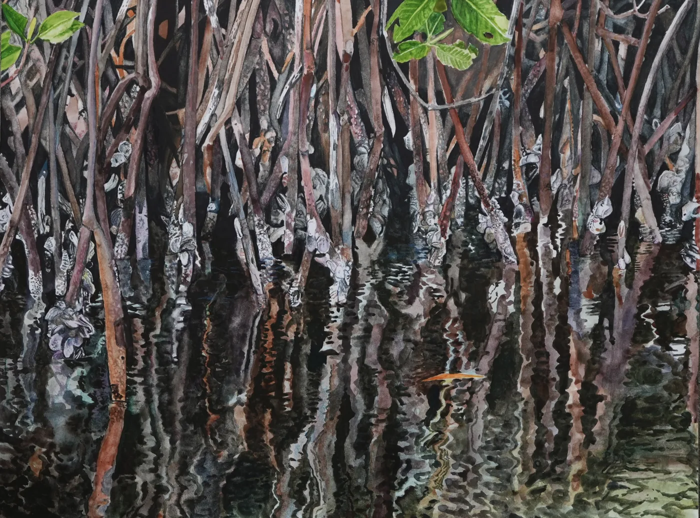 Painting of mangrove roots above and below the waterline