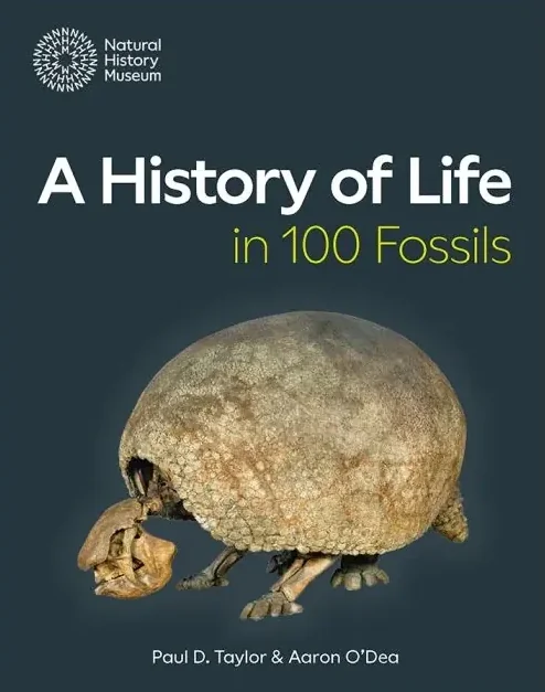 A History of Life in 100 Fossils