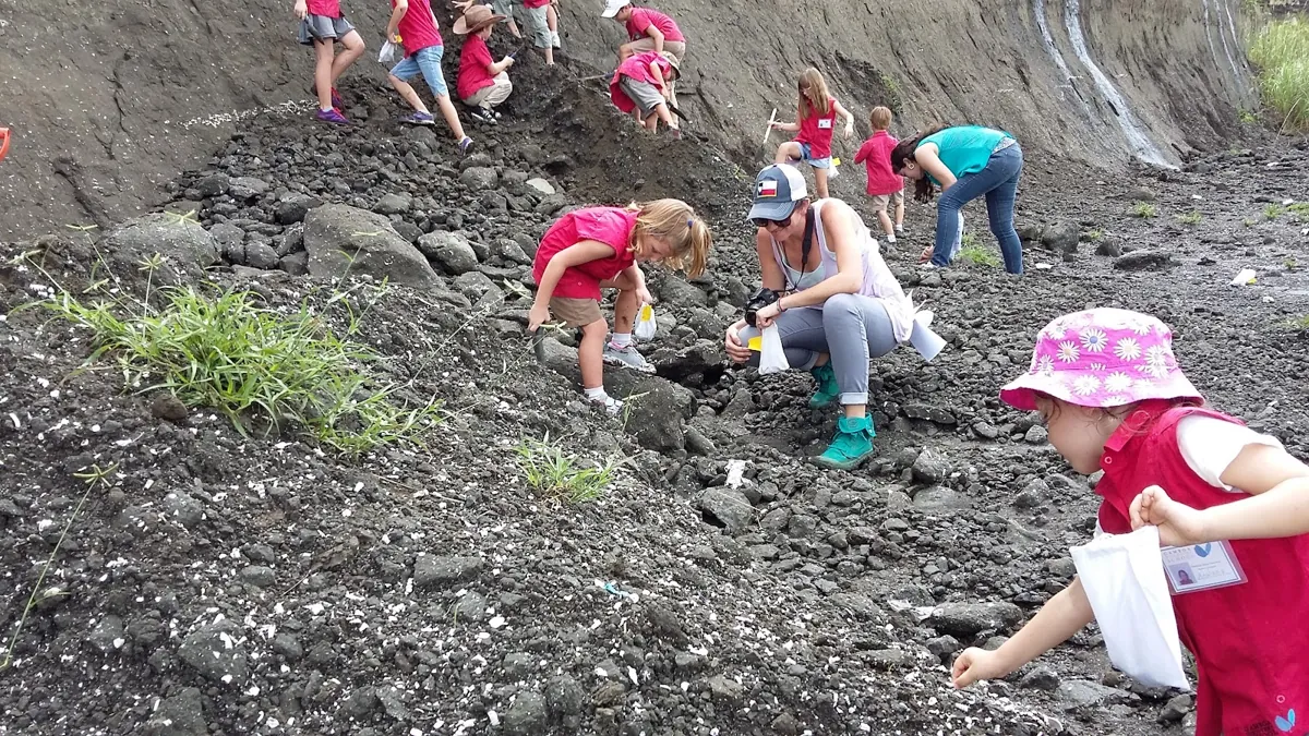 Families searching a slope of the Gatún Formation