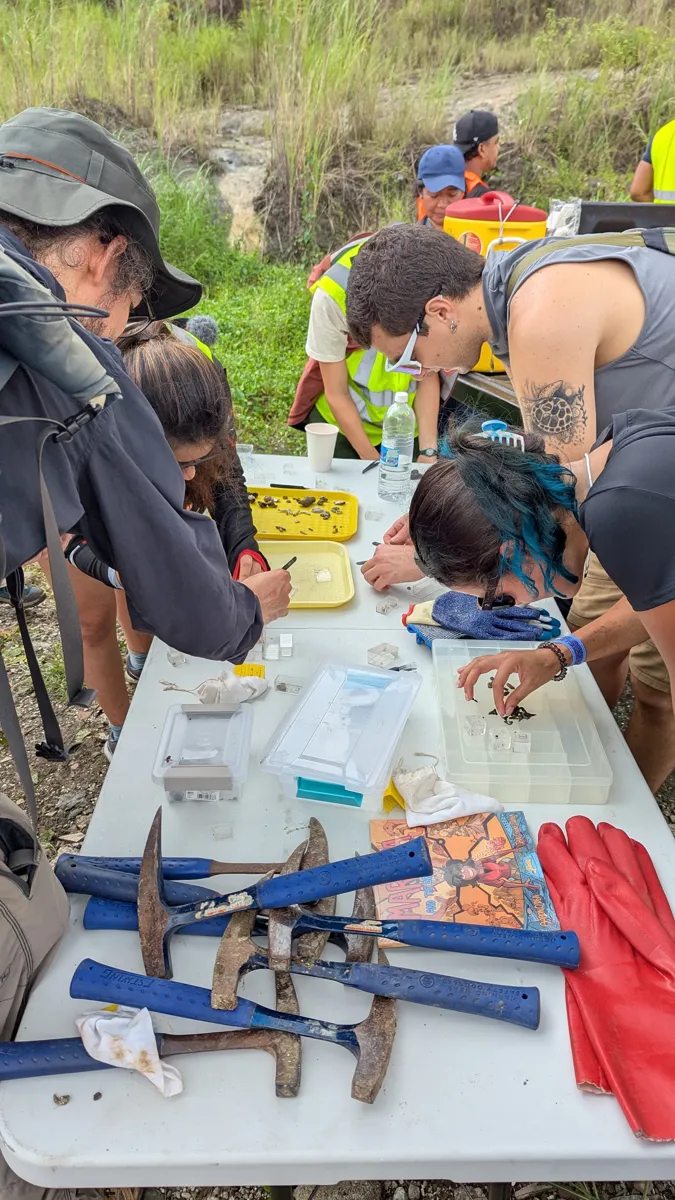 Laying out the morning's finds