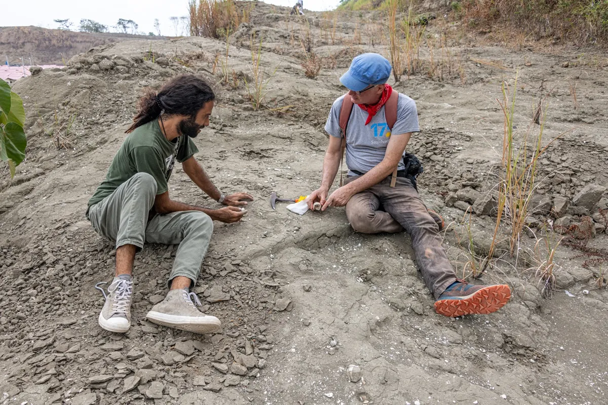Sorting finds on the outcrop