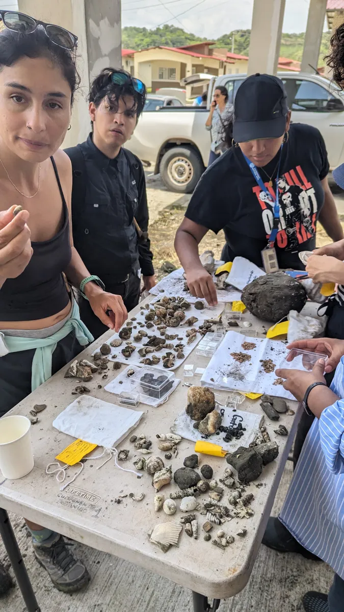 Looking over the finds together