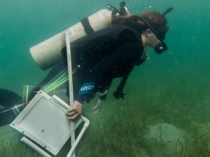 Cannon and Hynes Bocas jpeg (5 of 24)