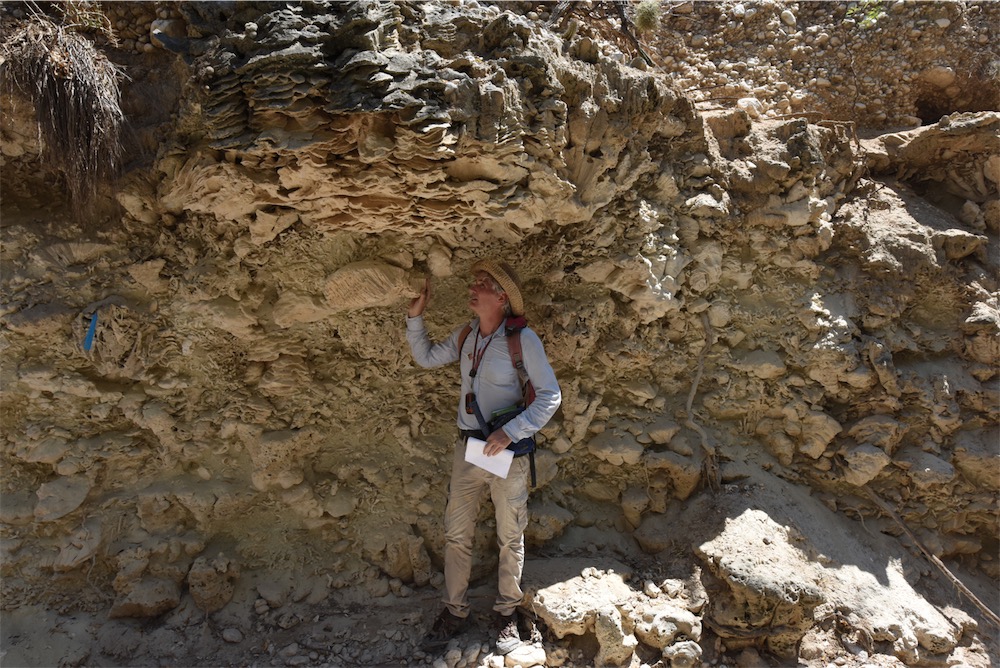 fossil-shots_p2-2-of-2-1