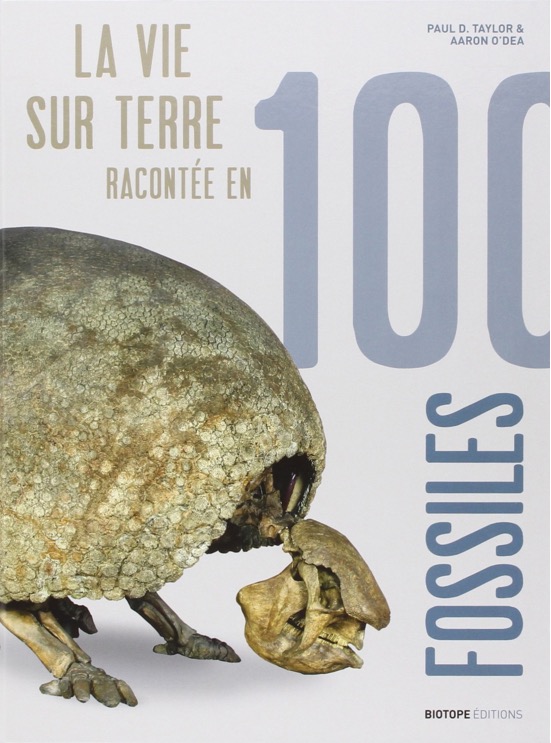 Screen Shot 2016-03-06 at 23.33.16