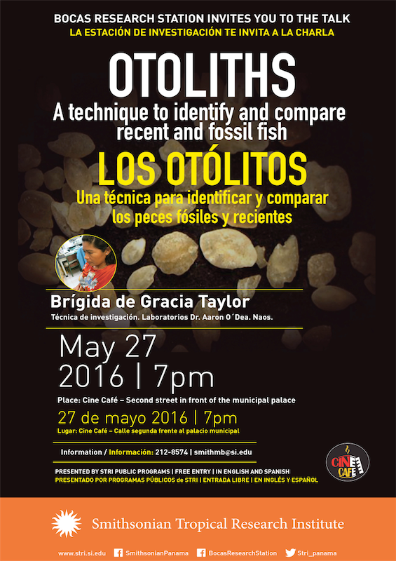 Microsoft Word - Afiche.doc 1