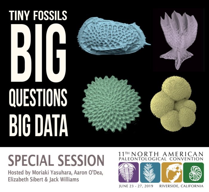 DxfCsAnV4AAy-lj.jpg large.jpg